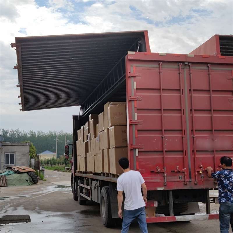 提蒙乡昭化区物流专线：开启高效运输新旅程